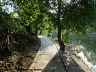 Imagine atasata: Bega - 2015.05.19 - 09.jpg